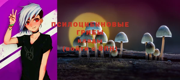 тгк Костерёво