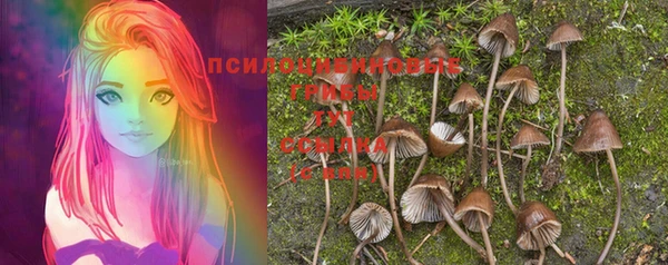 дмт Коряжма
